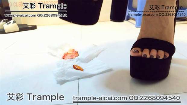 205318ai0q1wpop03p6106.jpg