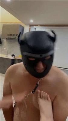 101723byhp0yqbp04vpqqq.jpg