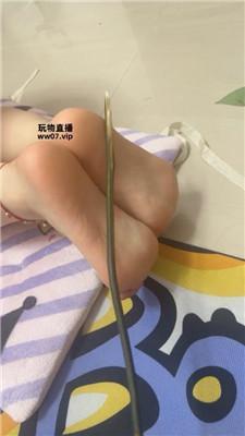 141308kf1aness6gns3pu6.jpg